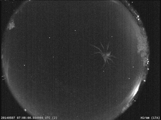 Illustration for article titled Who Needs Stars When You Can Gaze at Spiders Through Your Telescope?
